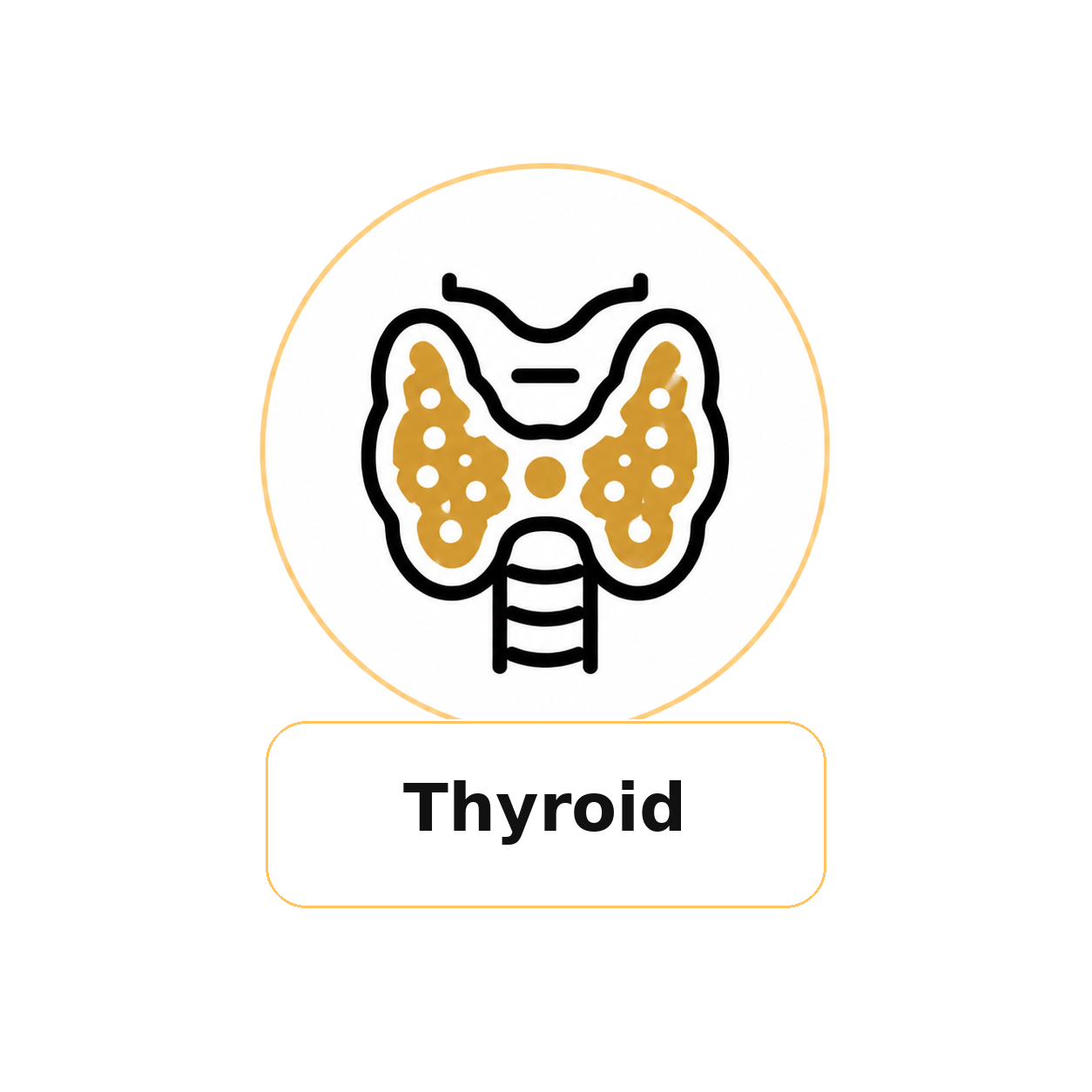 Thyroid