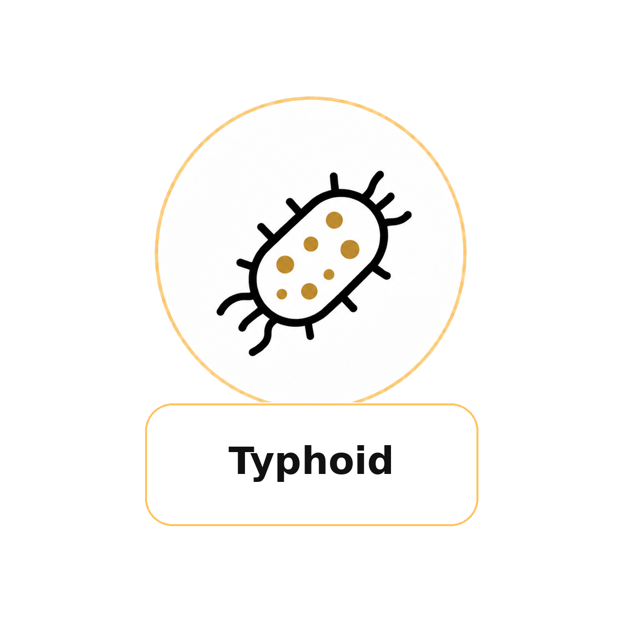 Typhoid
